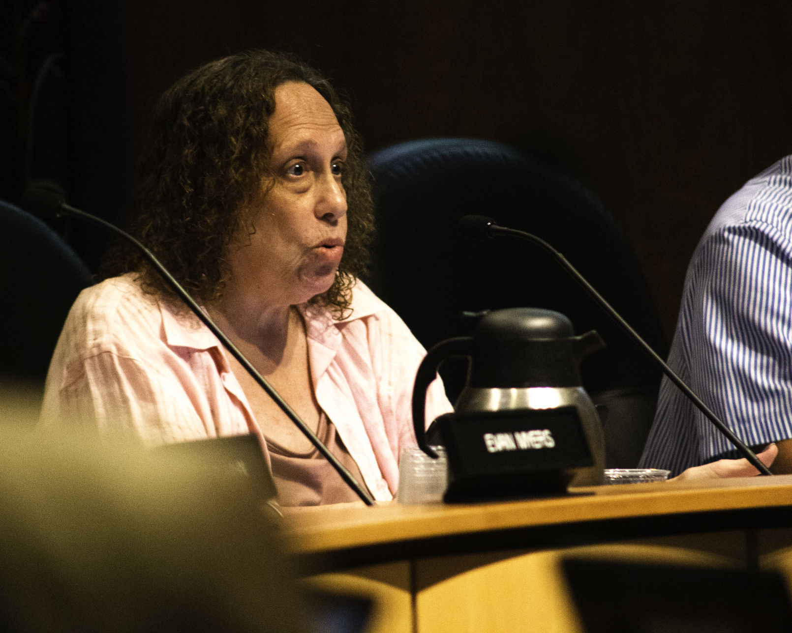 Borough Council Meeting